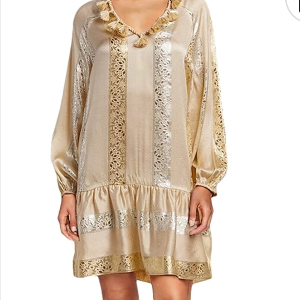 Beautiful Rachel Zoe Silk and Metallic Dress. Size4.